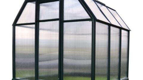Image for EcoGrow Greenhouse