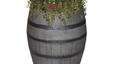 Image for 50-Gallon Whiskey Rain Barrel&nbsp;&nbsp;