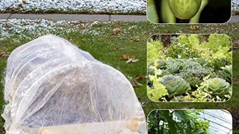 Image for Winter Plant Covers Freeze Protector