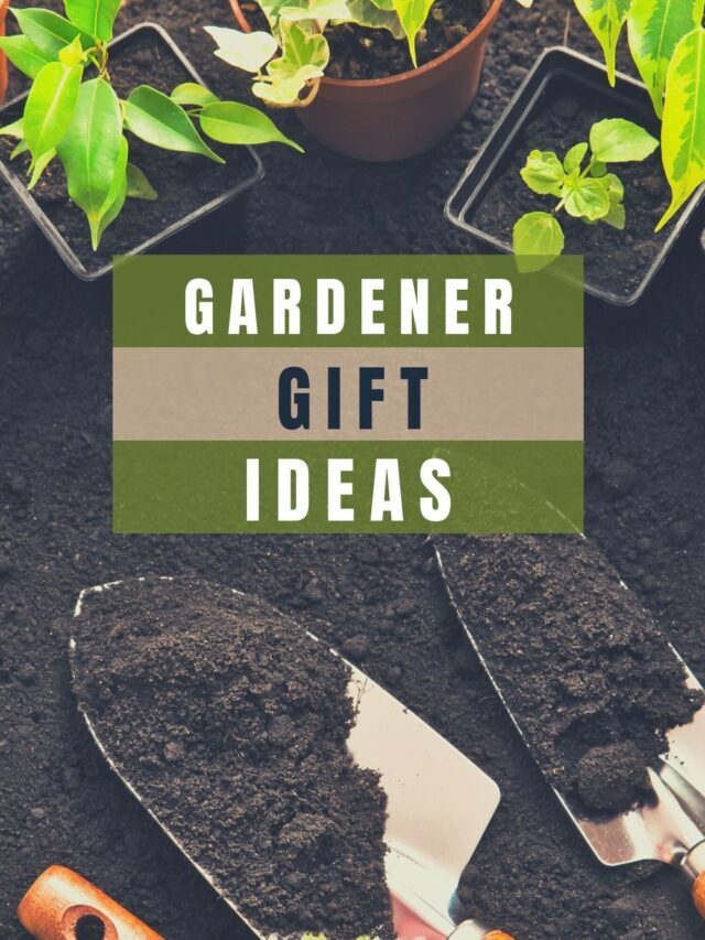 Gifts for Garden Lovers