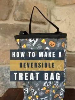 cropped-reversibletreatbags.jpg