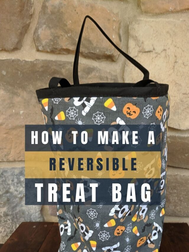 DIY Easy Reversible Treat Bags