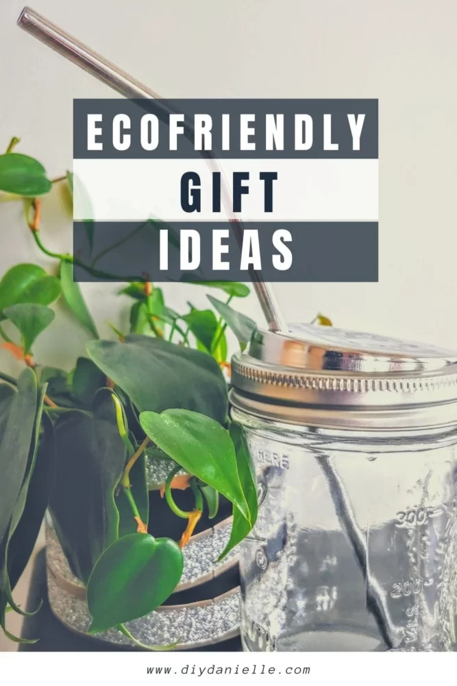 Eco Friendly Gifts Ideas: Green gift ideas for your eco warrior friends and family.