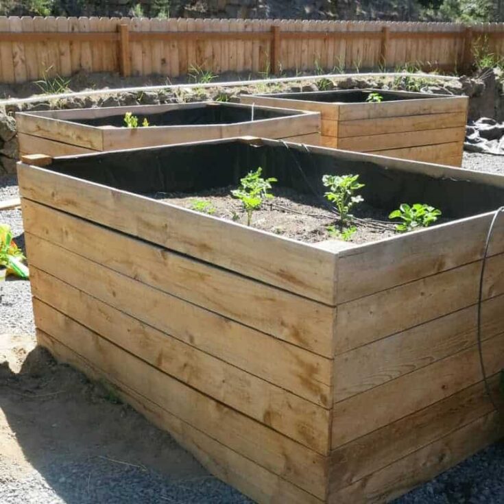 Image for DIY Cedar Raised Garden Beds 