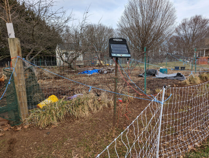 Solar charge in front of the garden, between the chicken run fencing and the garden fencing.