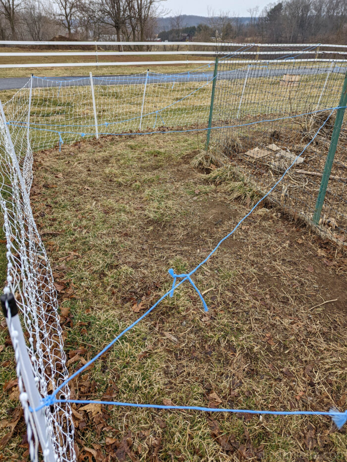 Blue baling twice criss crossing over the top of the electric fence to keep hawks out and chickens in. 