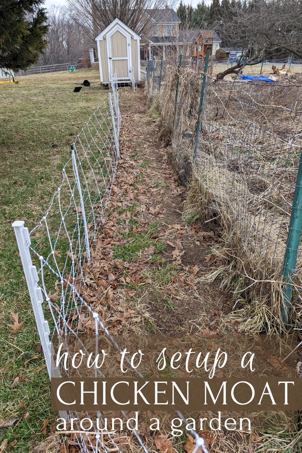 Chicken Moat Garden DIY Danielle®