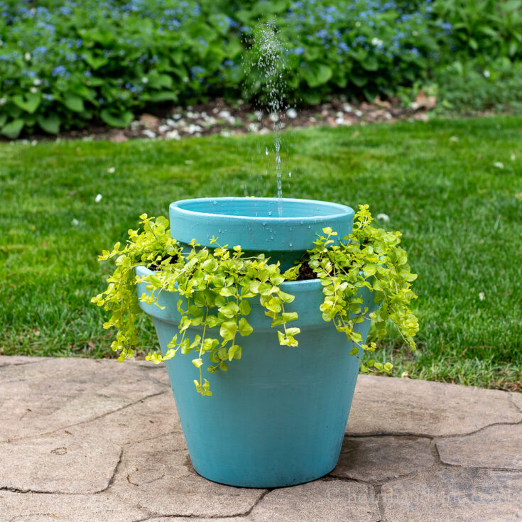 Image for DIY Solar Water Fountain