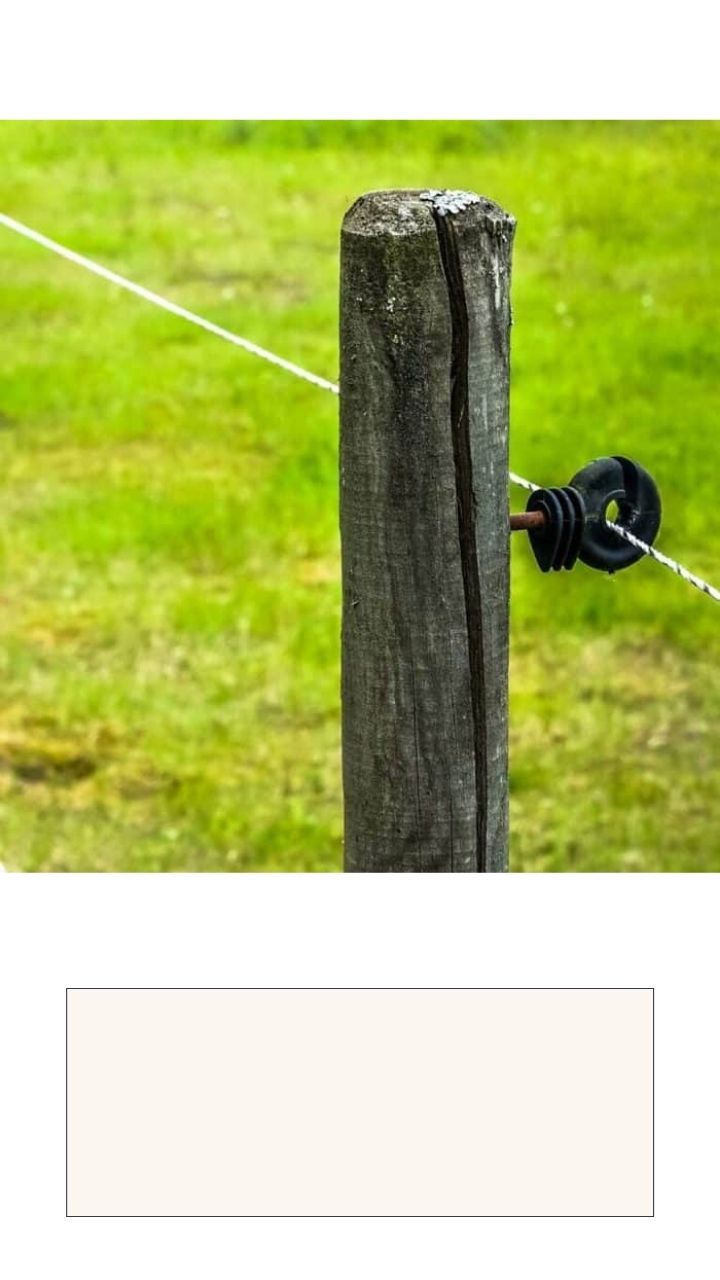 Electric Fence Installation