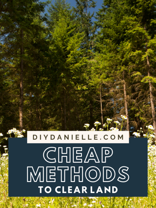 Cheap Methods to Clear Land