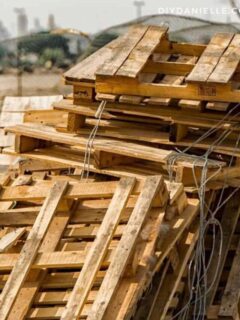 cropped-are-pallets-safe-735x1103-1.jpg