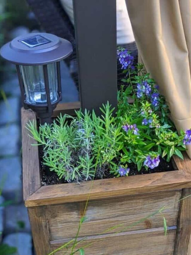 DIY Planter Boxes for a Gazebo