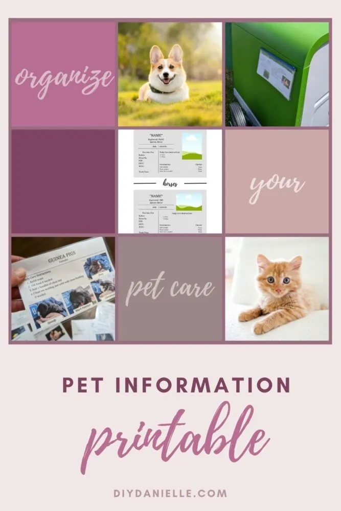 Pet Information Printable: Download the free animal chore checklist and make cards for each of your pets to keep track of routine care.