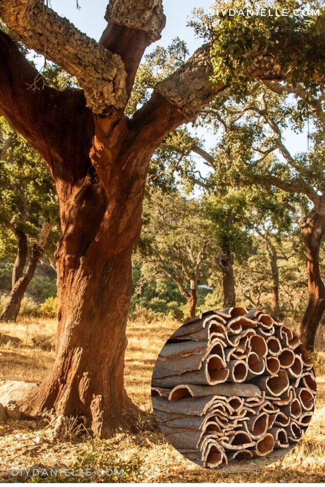 Cork trees provide cork. The cork can be used to make vegan bags and shoes.