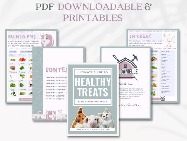 What Can Chickens Eat? A Full List for Feeding Your Chickens - DIY ...