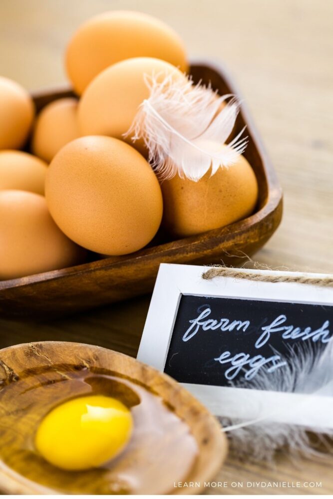 Are Farm-Fresh Eggs Safe for Consumption? - Homesteaders of America