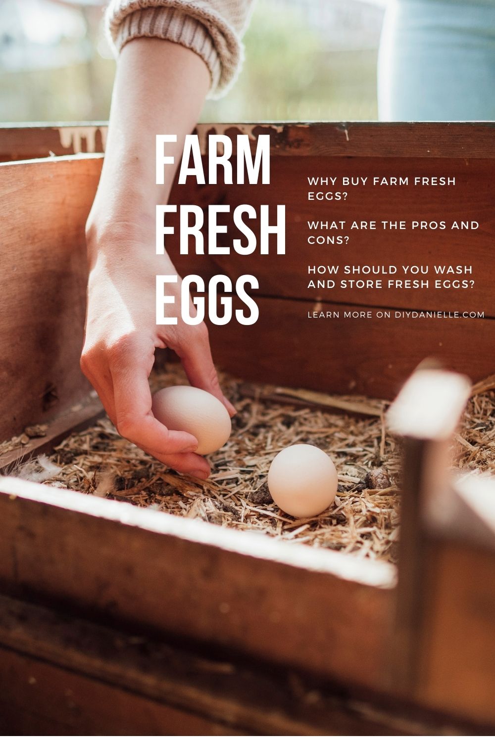 How to Wash and Store Farm Fresh Eggs DIY Danielle®