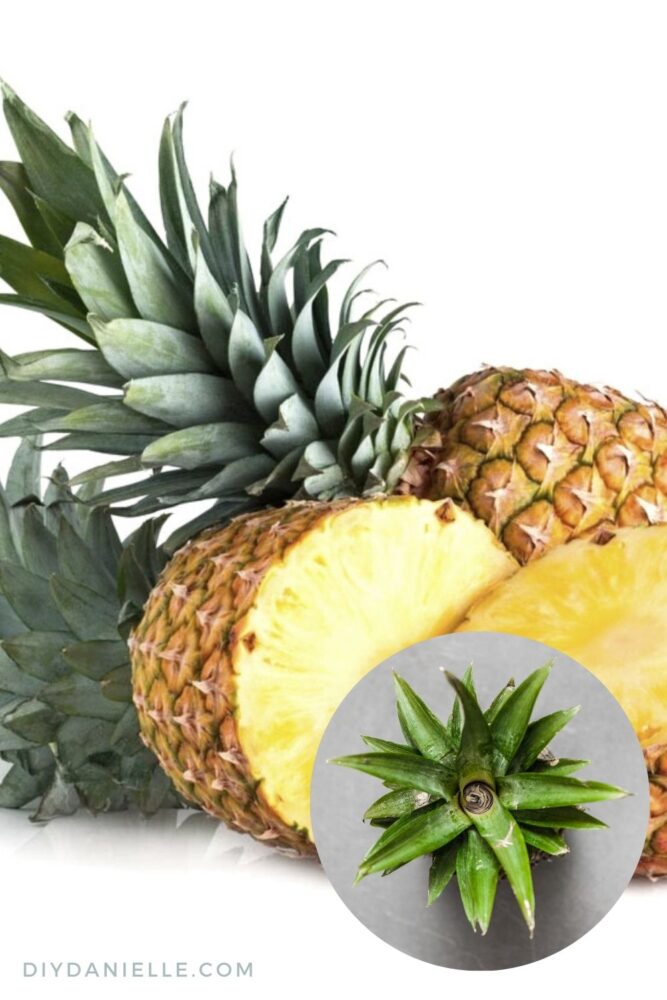 Pinatex is made from pineapple leaves, allowing farmers to profit from both the fruit and the leaves, and producing less waste product. 