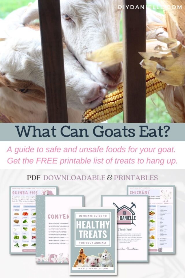 What Can Goats Eat? DIY Danielle®