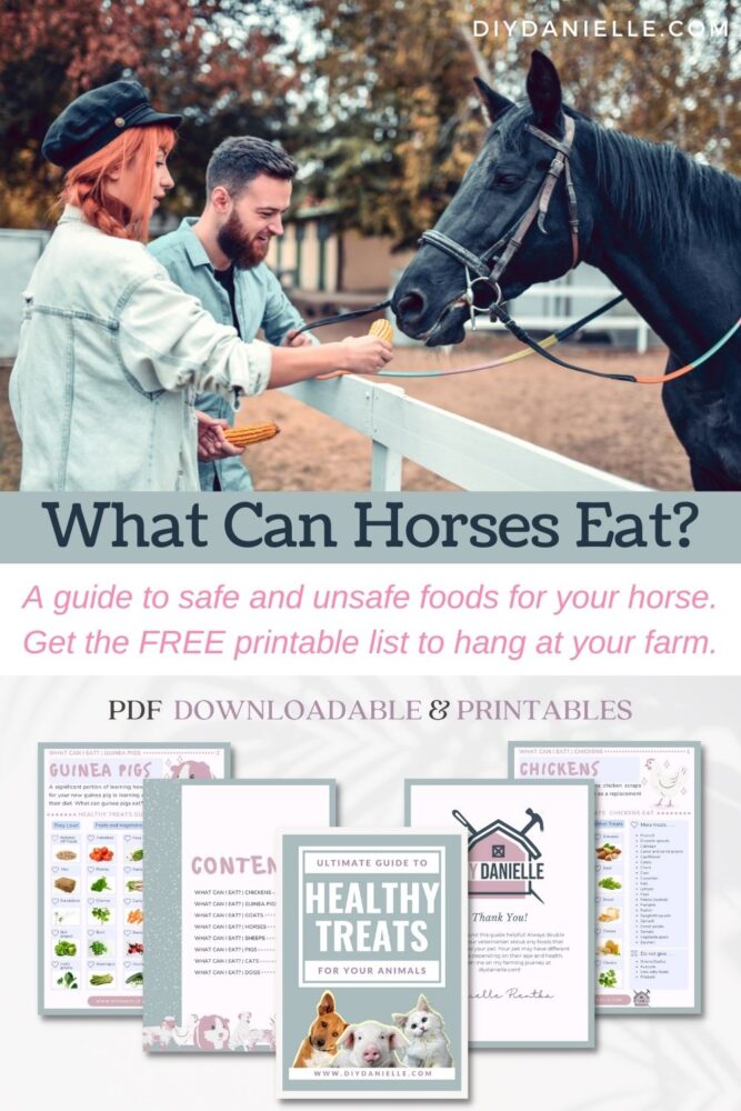What can horses eat? A guide to safe and unsafe foods for your horse, as well as a free printable list of horse-safe foods.