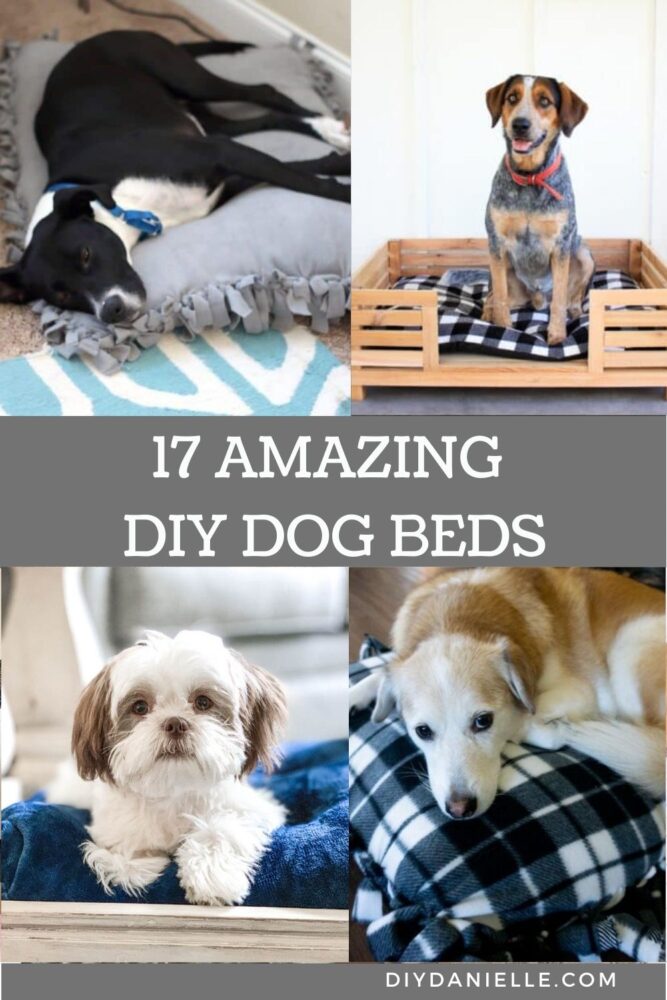 collage of 4 images of dog beds with text overlay