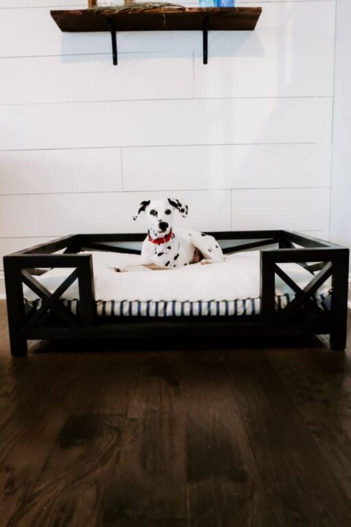 17 Amazing DIY Dog Beds That Your Pet Will Love!
