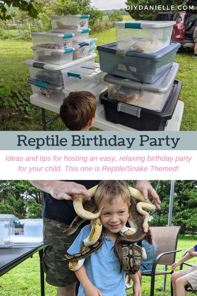 Reptile Birthday Party: Ideas and tips for hosting an easy, relaxing birthday party for your child. This one is snake/reptile themed.