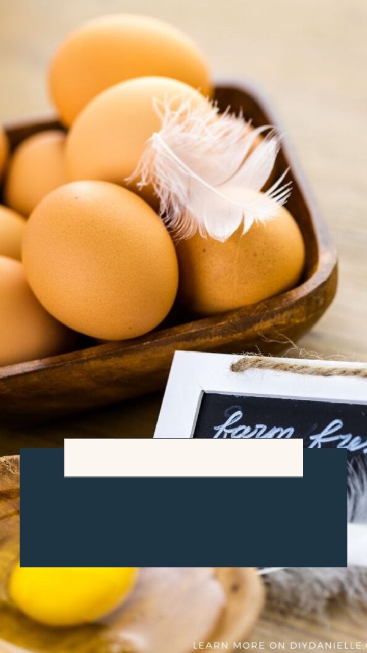 How to Clean and Store Fresh Eggs