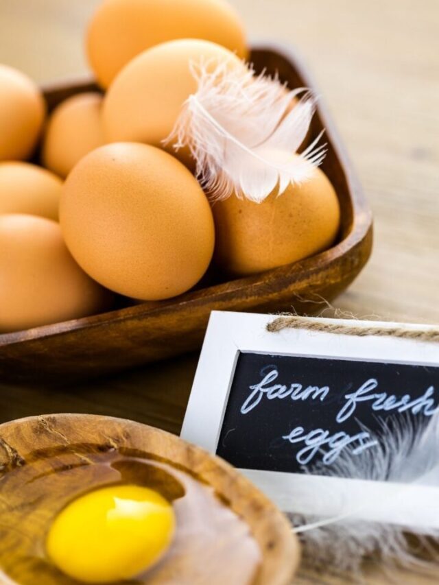 How to Wash and Store Farm Fresh Eggs