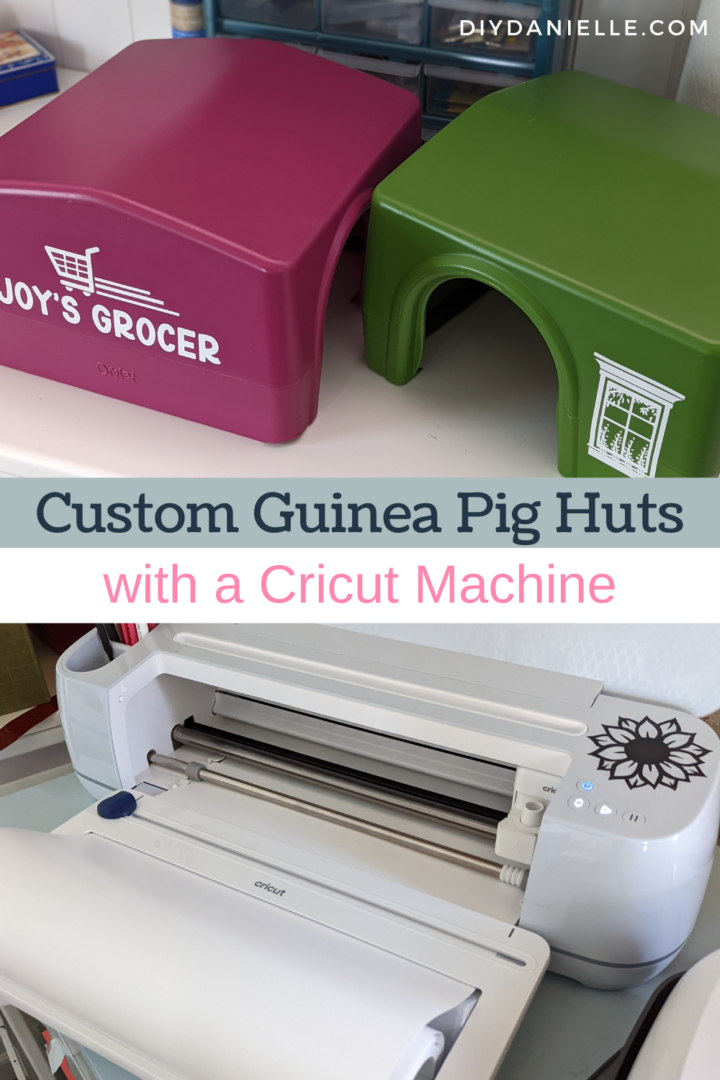 Guinea Pig Igloos Customized with Cricut Vinyl DIY Danielle®