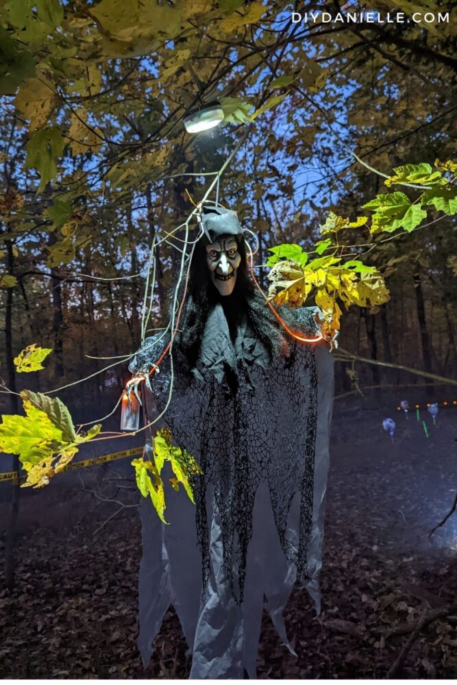 Spot lighting over a witch that's hanging from the tree