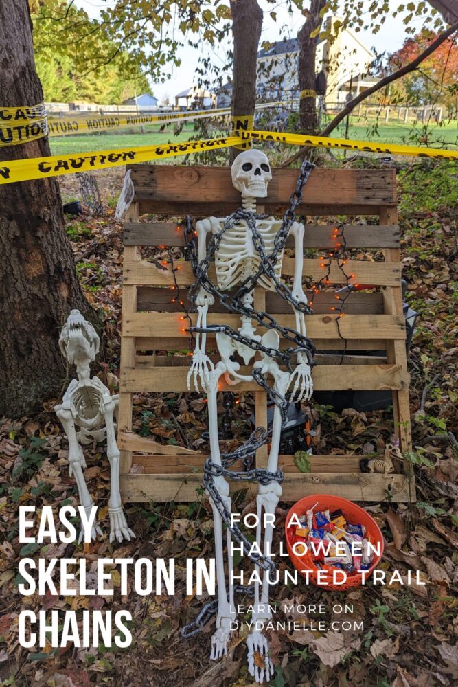 Skeleton chained to a pallet during the daytime on a Halloween trail, a skeleton dog beside him and a bowl of candy on the ground.