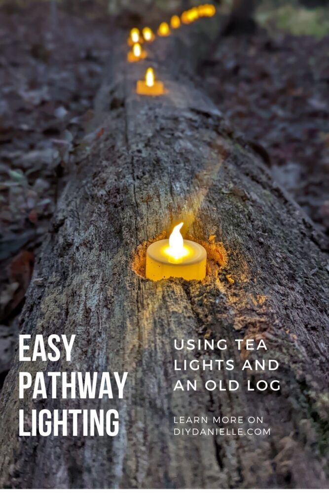 Easy pathway lighting using tea lights and old log. Photo at dusk with tea lights on, warm yellow.