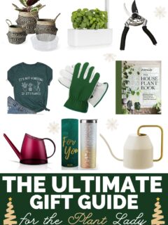 ultimate gift guide plant lovers gifts