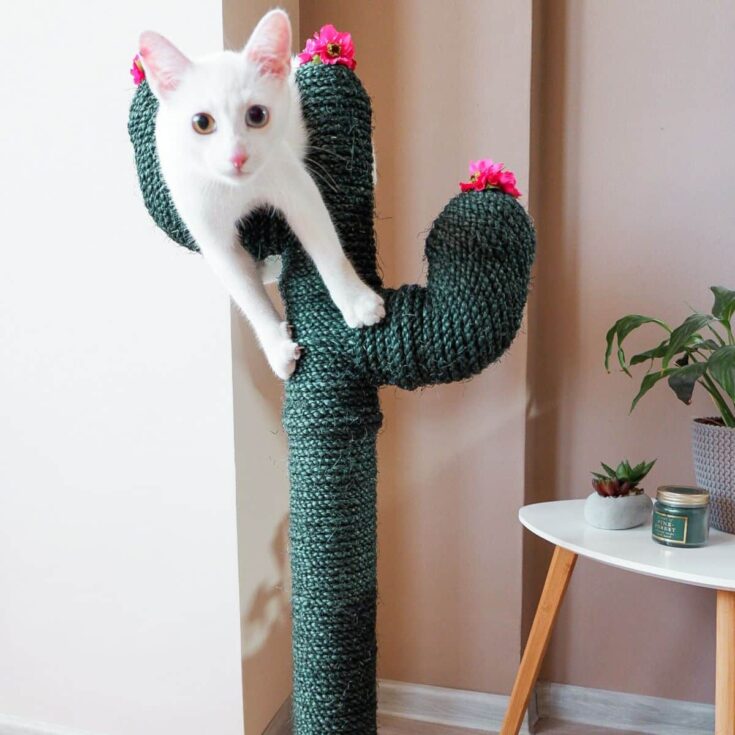 Image for DIY Cactus Cat Scratcher