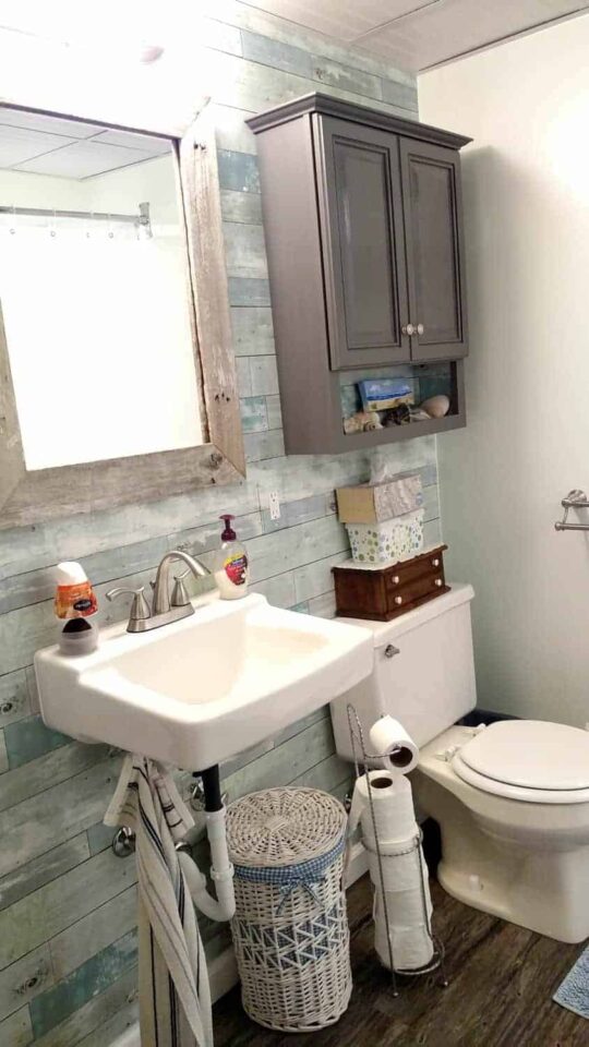 19 Basement Bathroom Ideas - DIY Danielle®