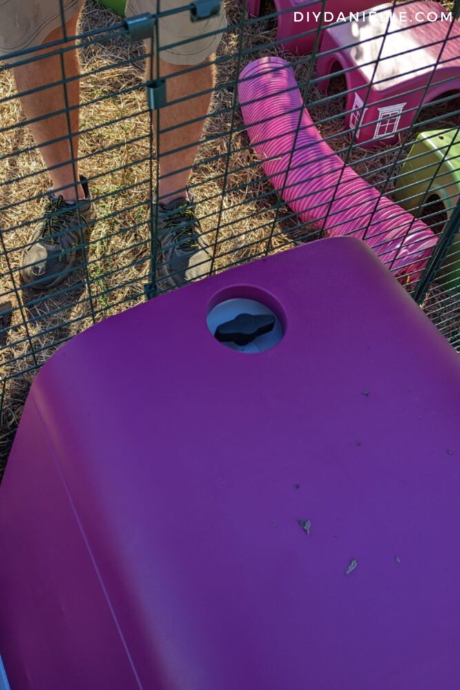 Top of the guinea pig hutch with an easy to close door that makes cleaning easier.