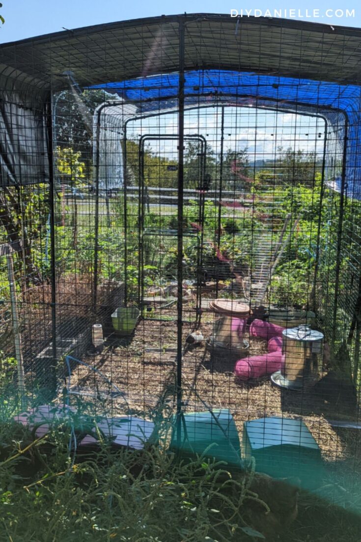 Review of the Omlet Outdoor Guinea Pig Enclosure DIY Danielle®