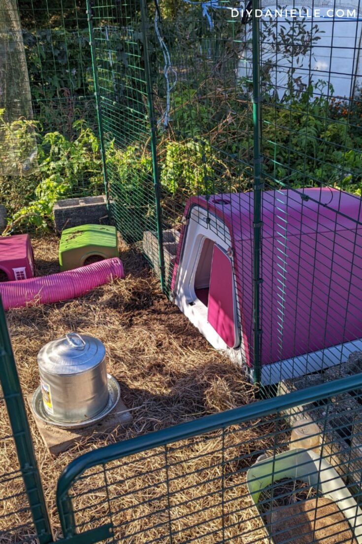 Review of the Omlet Outdoor Guinea Pig Enclosure - DIY Danielle®