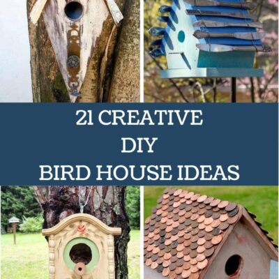 pin collage diy bird houses