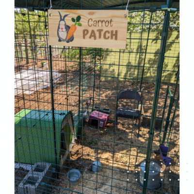Carrot Patch rabbit cage sign, hanging on the Omlet Outdoor Rabbit and Guinea Pig Enclosure