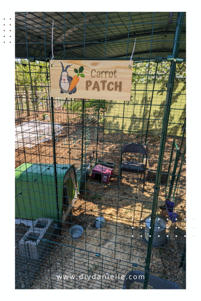 Carrot Patch rabbit cage sign, hanging on the Omlet Outdoor Rabbit and Guinea Pig Enclosure