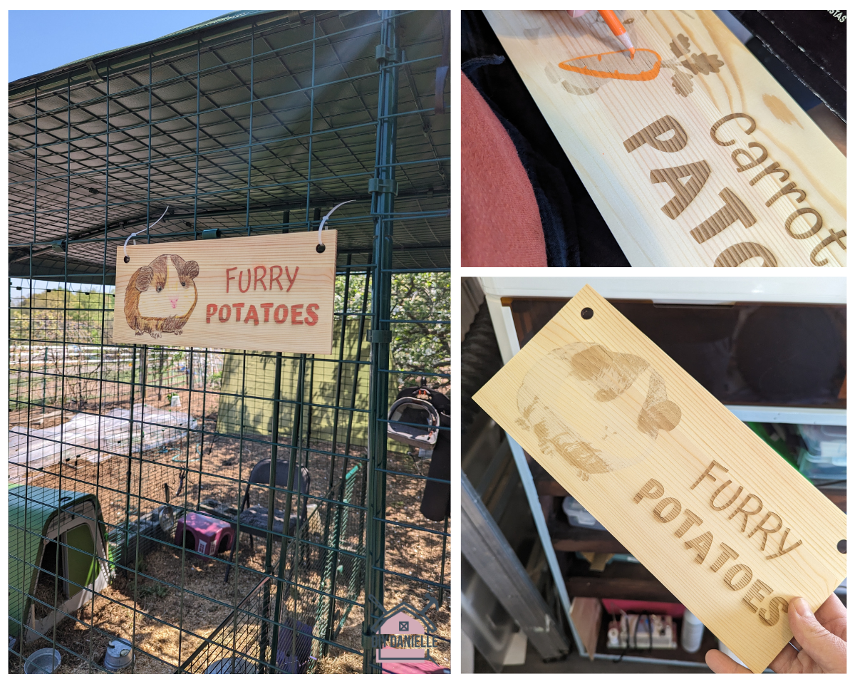 Carrot Patch sign for our rabbit cage and Furry Potato Sign for guinea pig cage. Three step of process: finished, coloring in the sign with coloring pencils, and the design right off the laser cutter. This was made with a laser cutting machine and sealed for outdoor use.