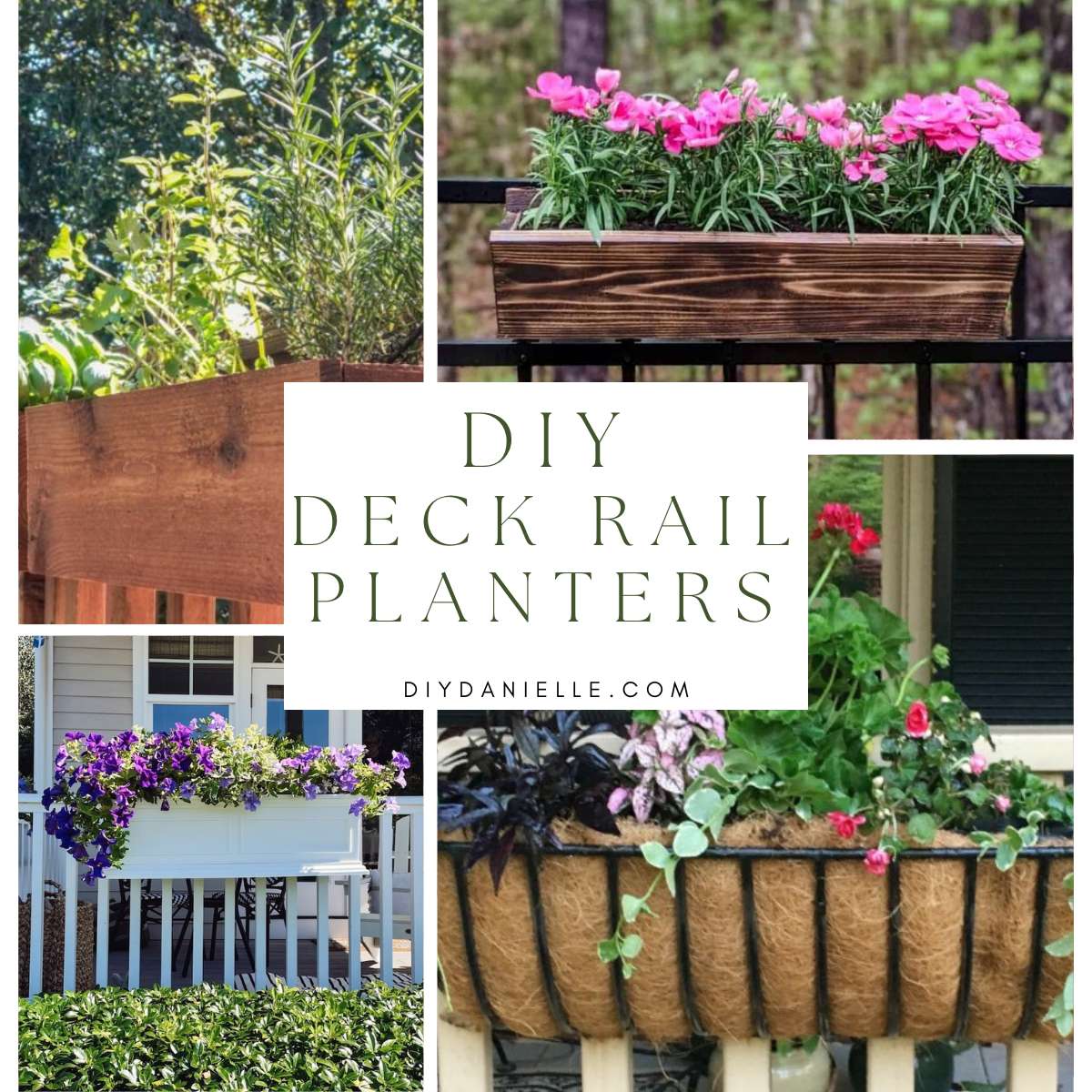 feature collage deck rail planters with text