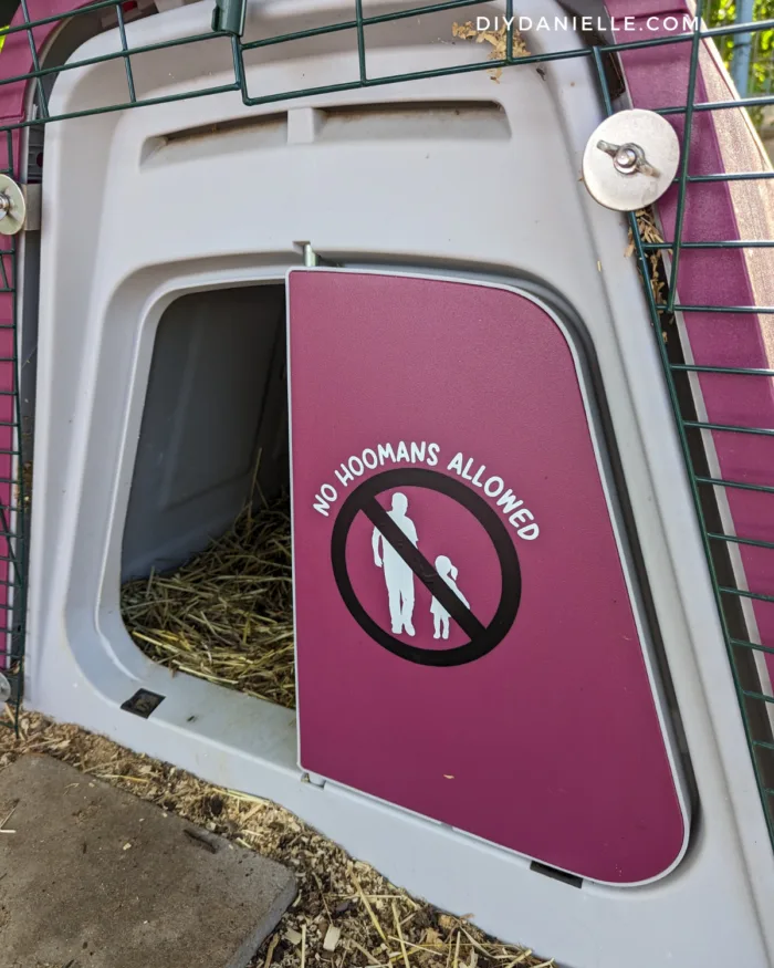 Pink guinea pig hutch with a "no hoomans allowed" sign on the hutch door.