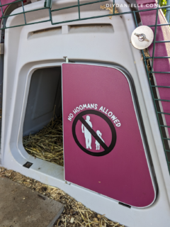 No Hoomans Sign for Guinea Pig and Rabbit Cages