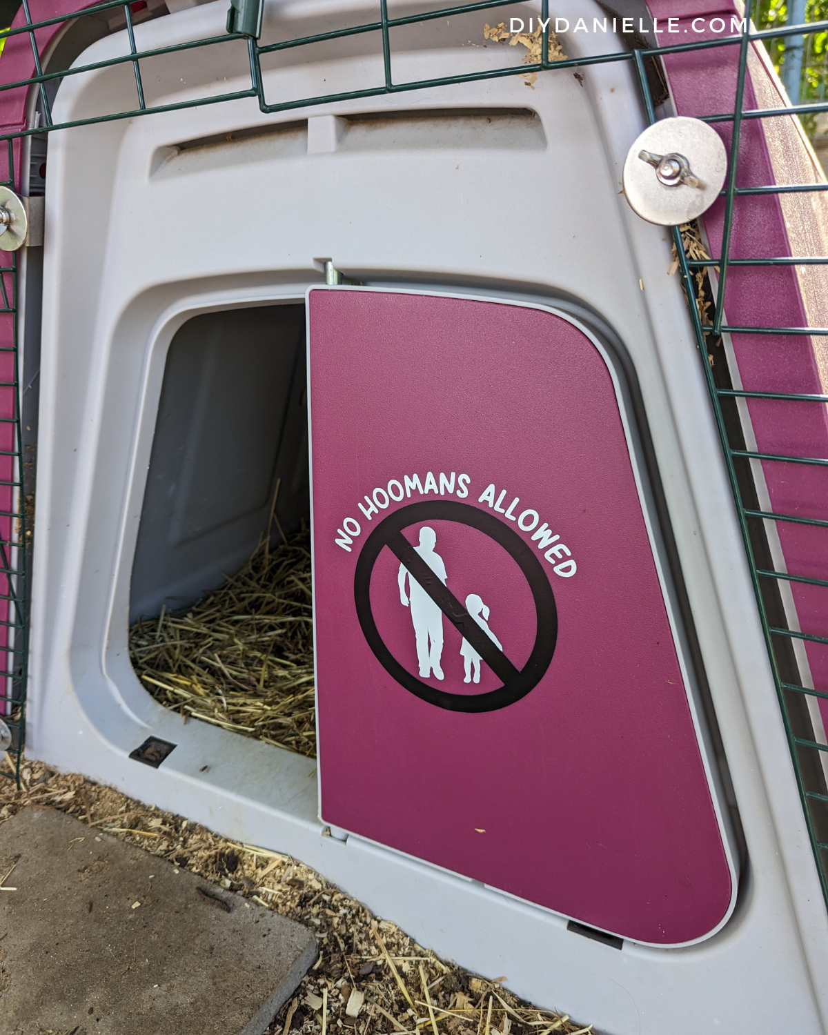 No Hoomans Sign for Guinea Pig and Rabbit Cages