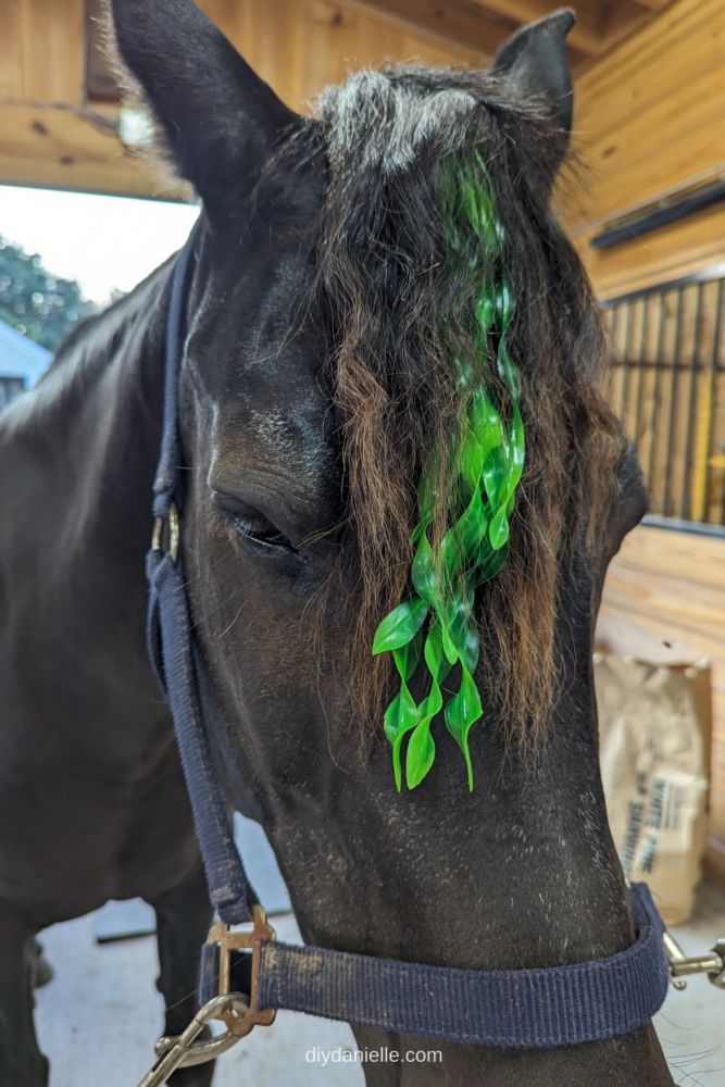 Artificial seaweed in my horse's forelock for a Halloween costume.