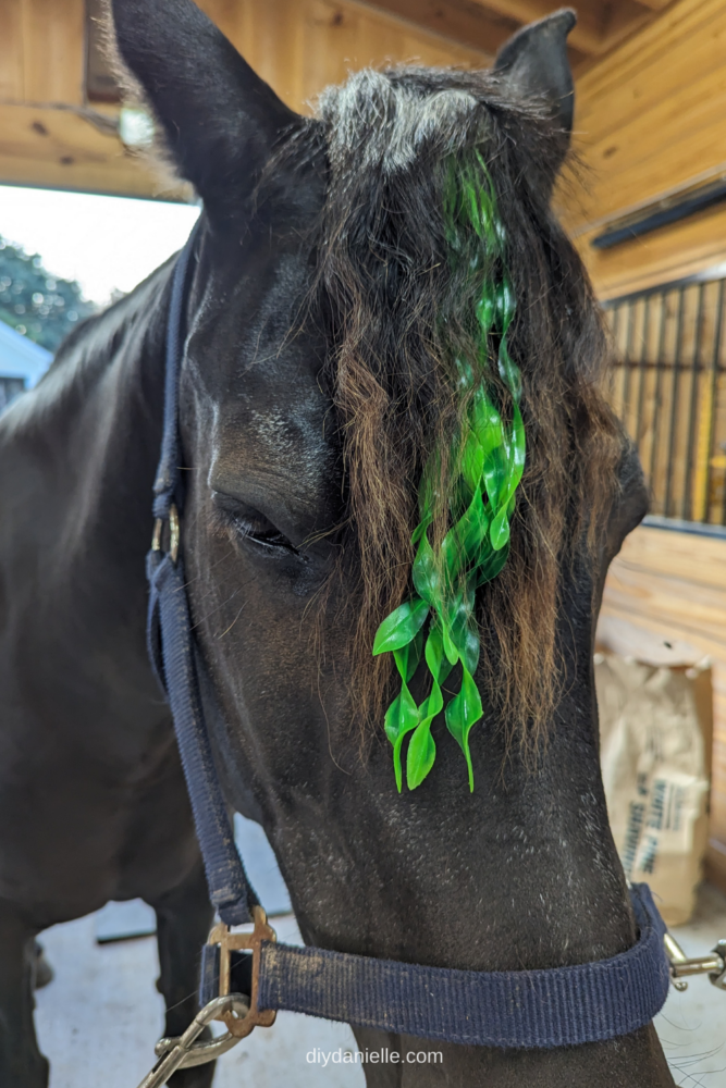 DIY Horse Costume: Kelpie Halloween Costume - DIY Danielle®