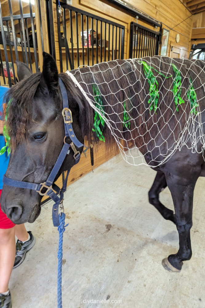 DIY Horse Costume: Kelpie Halloween Costume - DIY Danielle®